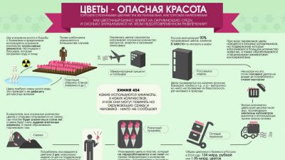 Инфографика от РосЭко о вреде цветочной индустрии. Дарите любовь, а не букеты!