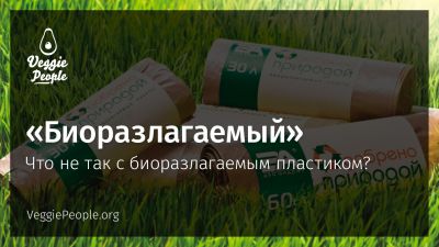 Что не так с биоразлагаемым пластиком?