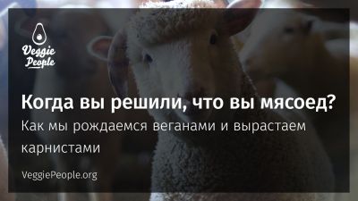 Когда вы решили, что вы мясоед? Как мы рождаемся веганами и вырастаем карнистами. VeggiePeople.ru