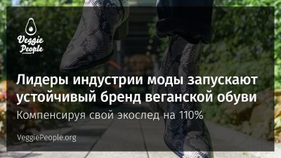 Устойчивый бренд веганской обуви AERA в индустри моды