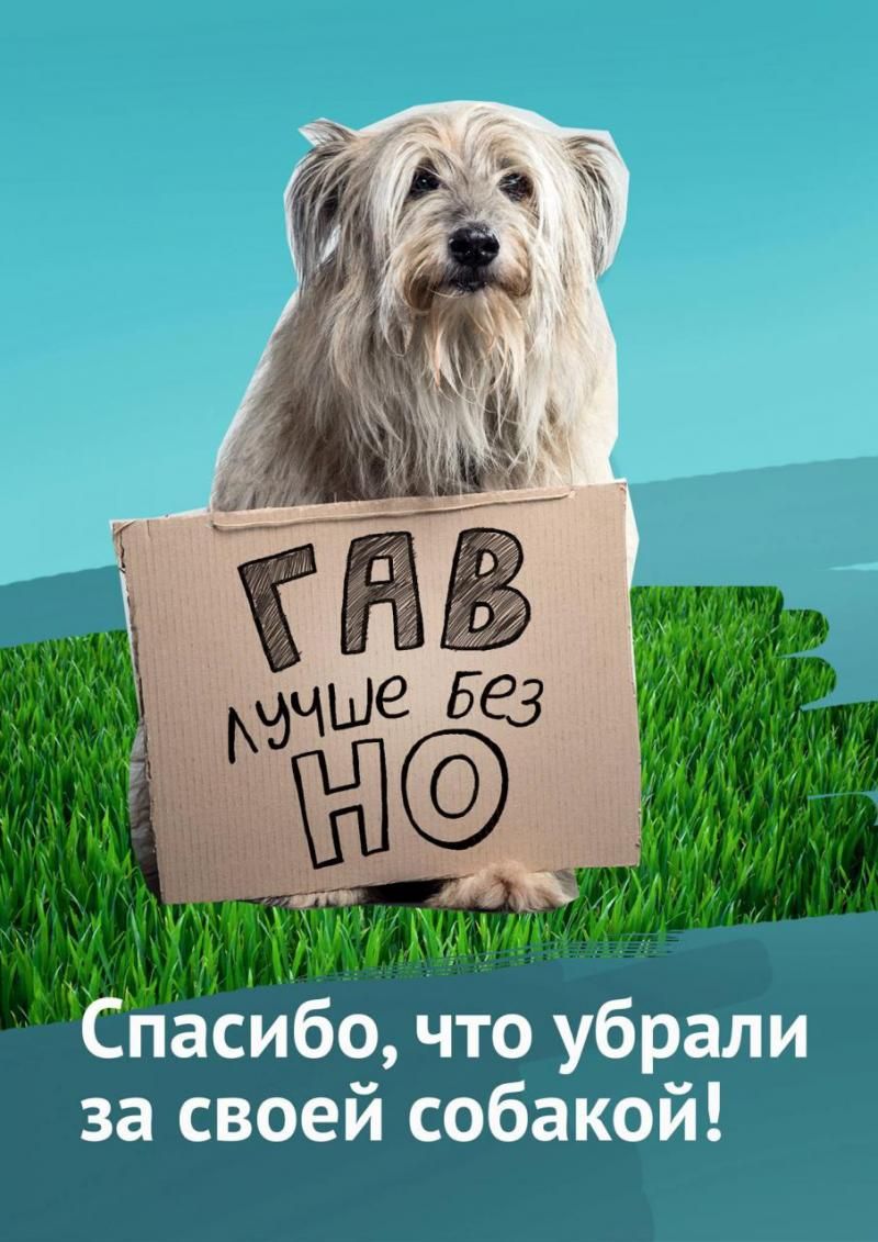 ГАВ лучше без НО