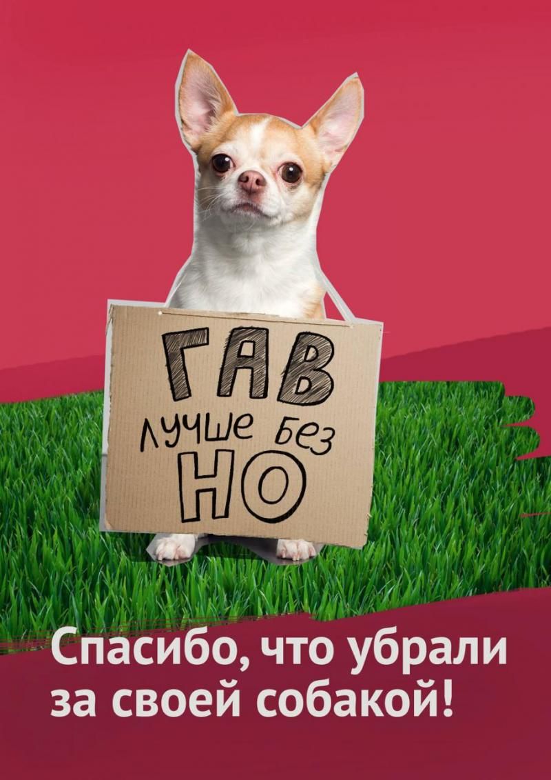 ГАВ лучше без НО
