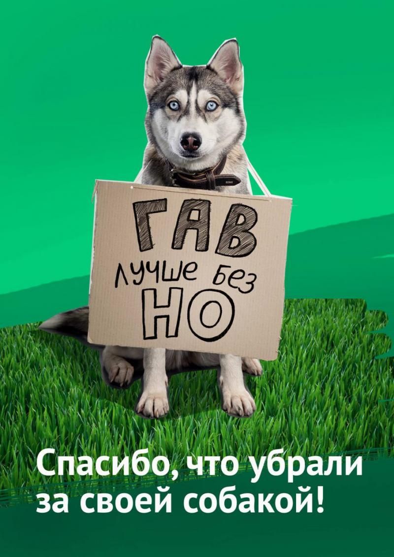 ГАВ лучше без НО
