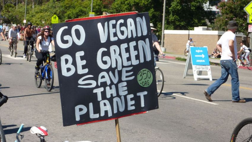 Плакат "Go Vegan Be Green Save the Planet"