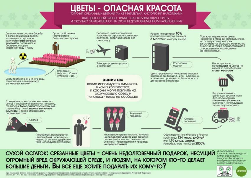 Инфографика от РосЭко о вреде цветочной индустрии. Дарите любовь, а не букеты!