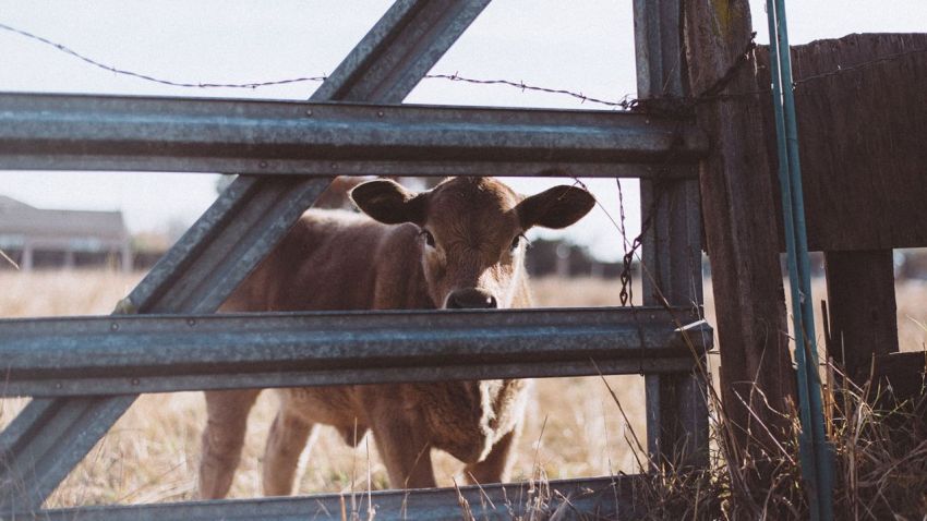 Photo by Spencer Selover from Pexels