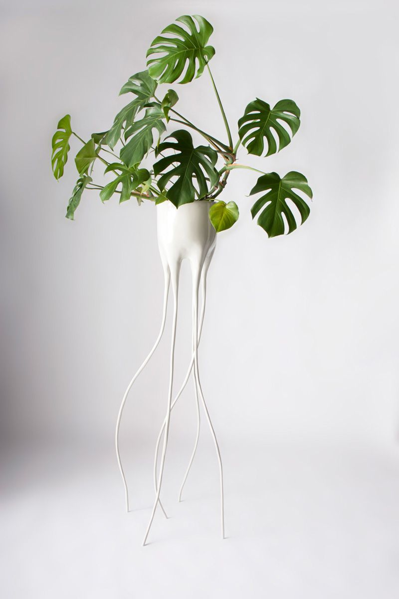 Горшки Monstera