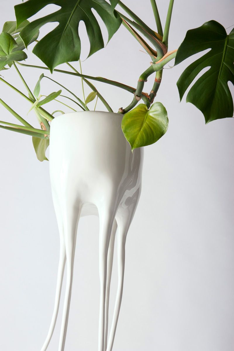 Горшки Monstera