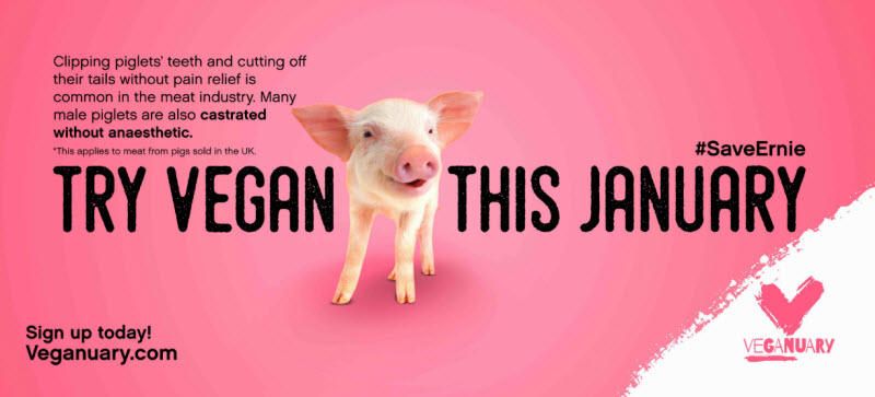 Причинно-ориентированная кампания Veganuary