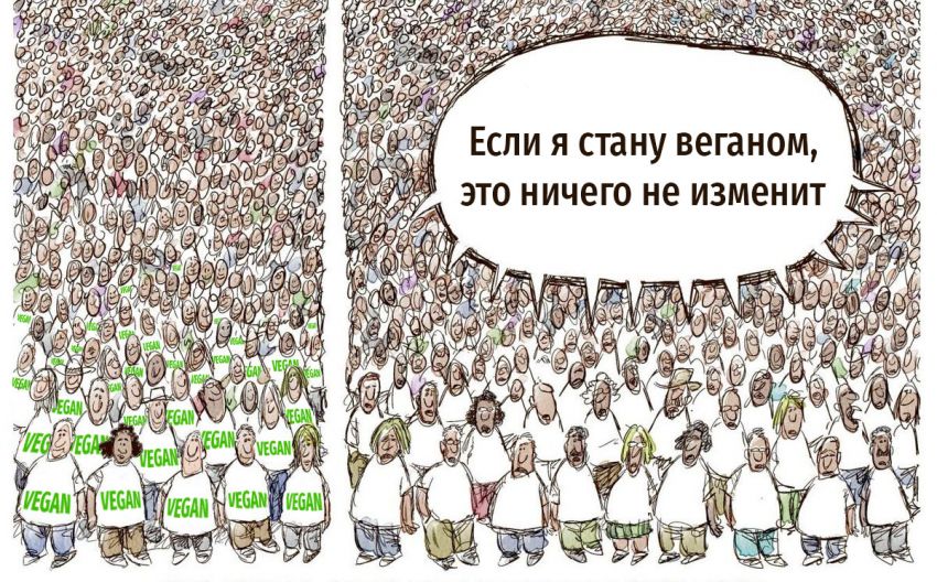 Веган-маркетинг: цели и аудитория